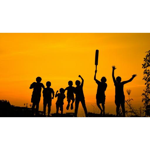 cricket